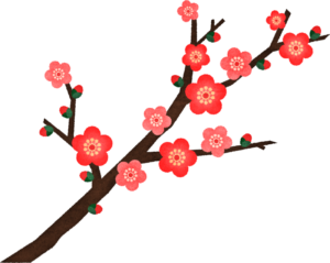 梅の花（枝付き）