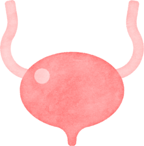 膀胱